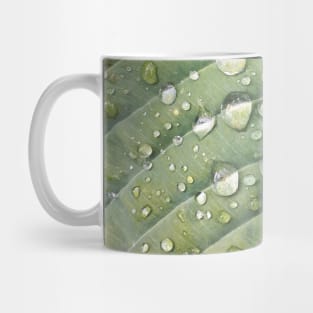 Green leaf Mug